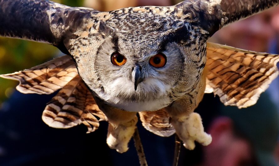 Die Werte der anderen