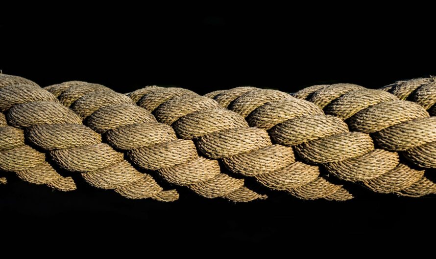 Seiltanz gegen Rückenschmerzen