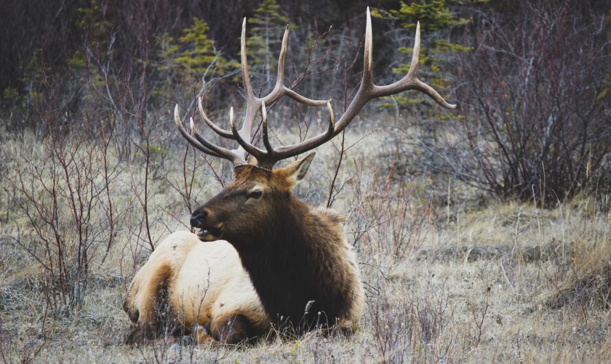 Welche Werte zählen