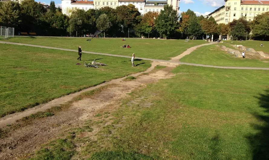 Auf Trampelpfaden unterwegs