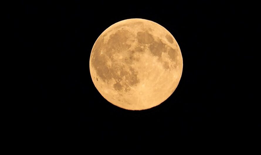 Sind sie zu stark, bist du zu schwach!