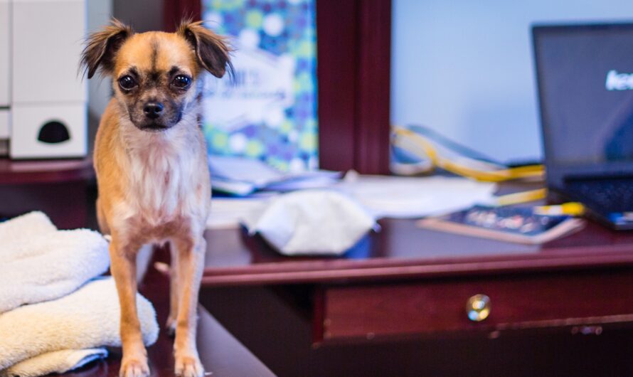 Wünsch-dir-was-Kultur