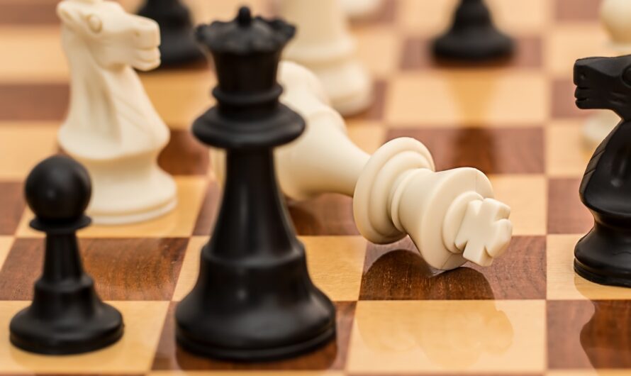 Coaching mit Schach