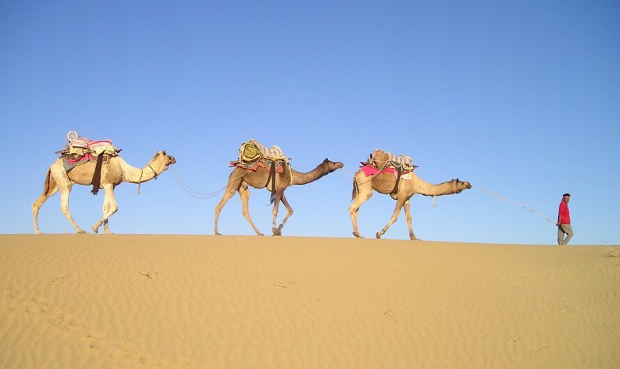 Die Karawane zieht weiter