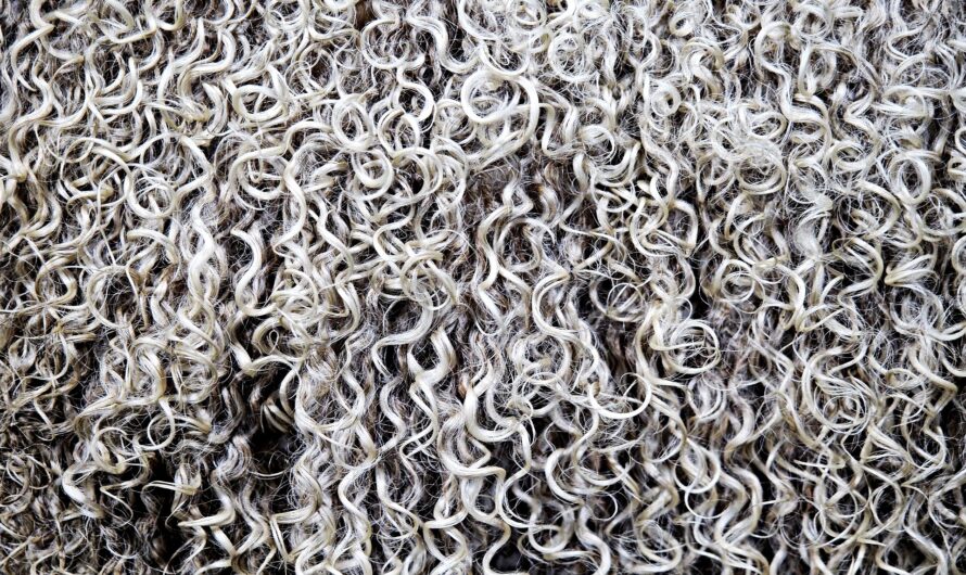 Sich unangenehme Dinge sagen