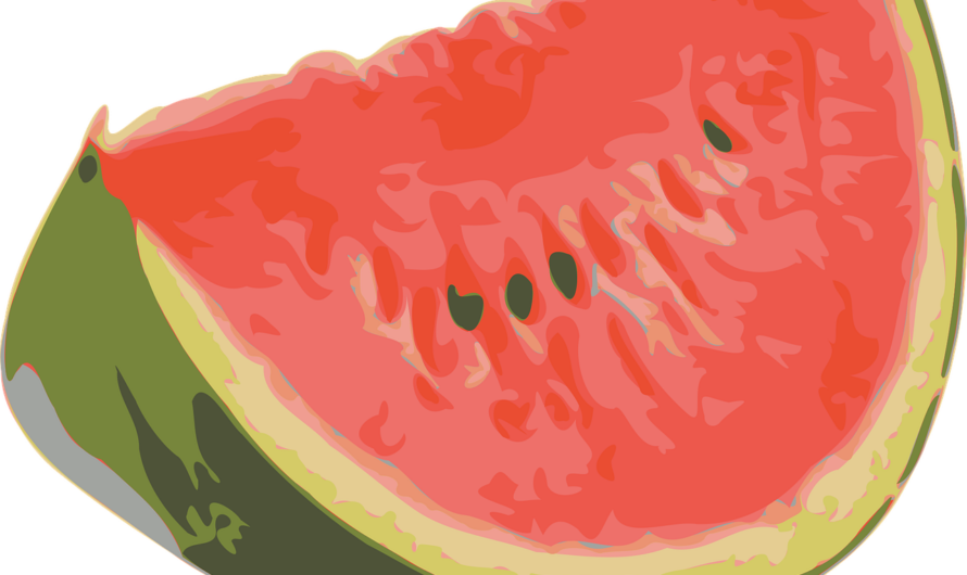 Wassermelonen-Reporting