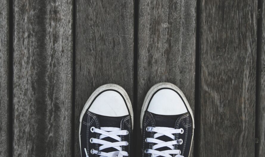 Self-Nudging