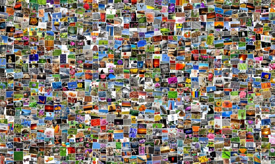 Diversity & Co – Der Offenbarungseid