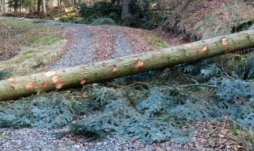 Blockaden lösen