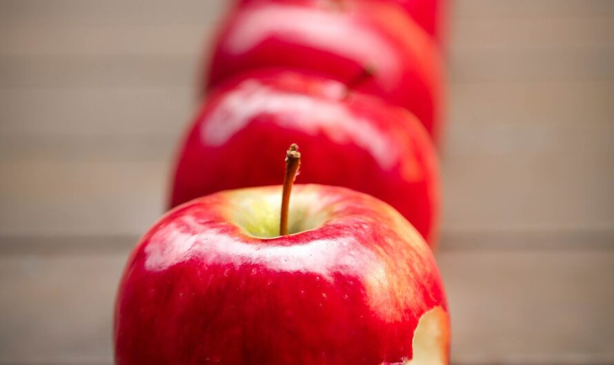 Reifegradmodell für Agilität