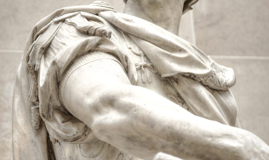 Organisationsdemokratie