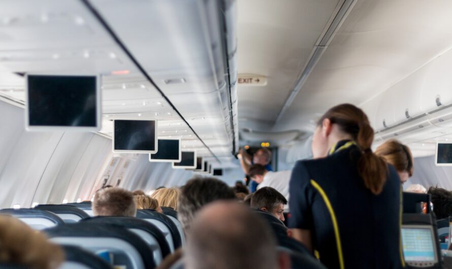 Diktat der Effizienz