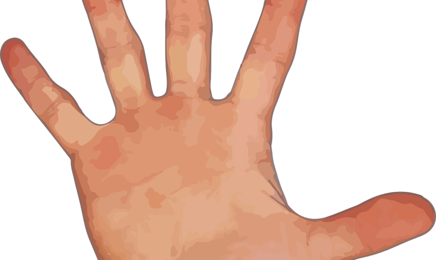 Hand-Feedback