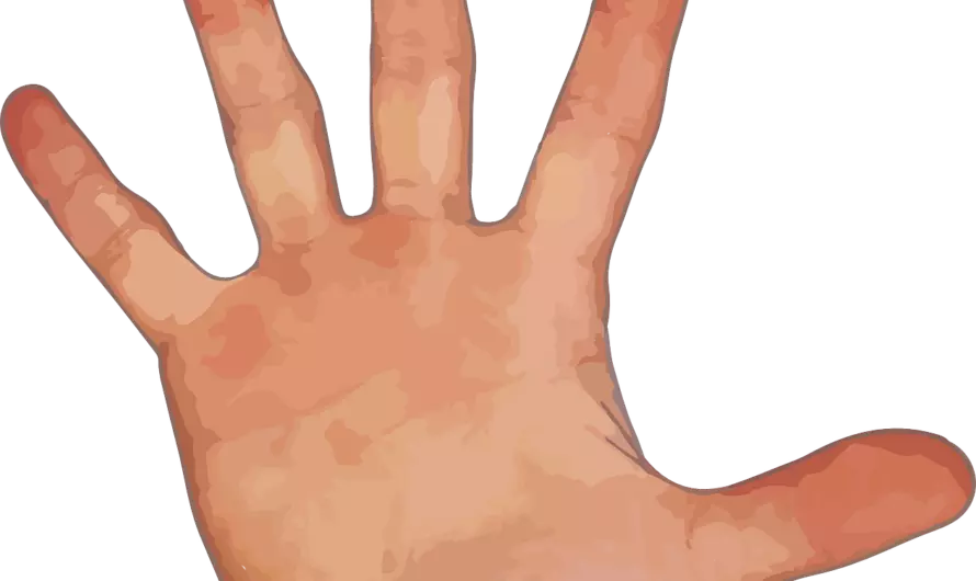 Hand-Feedback
