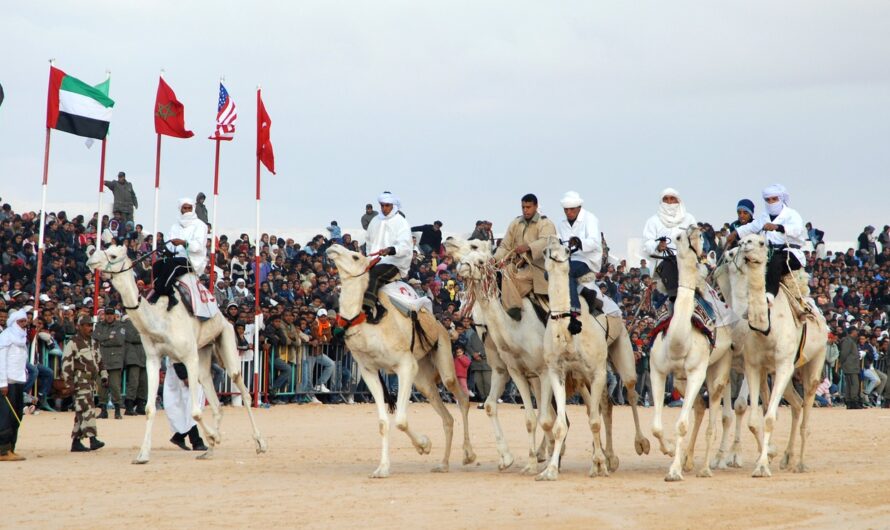 Priorität: Geldverdienen
