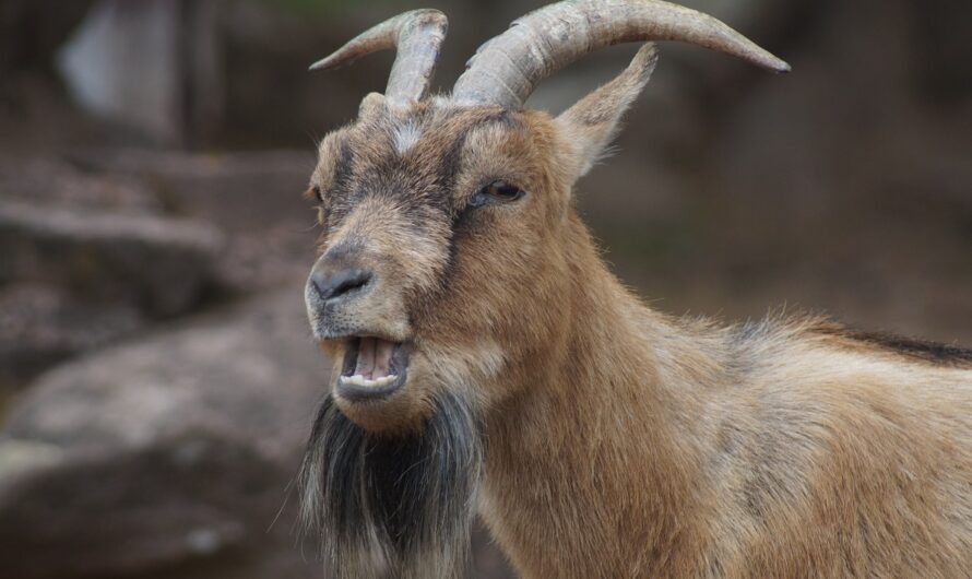 Bei sich selbst anfangen