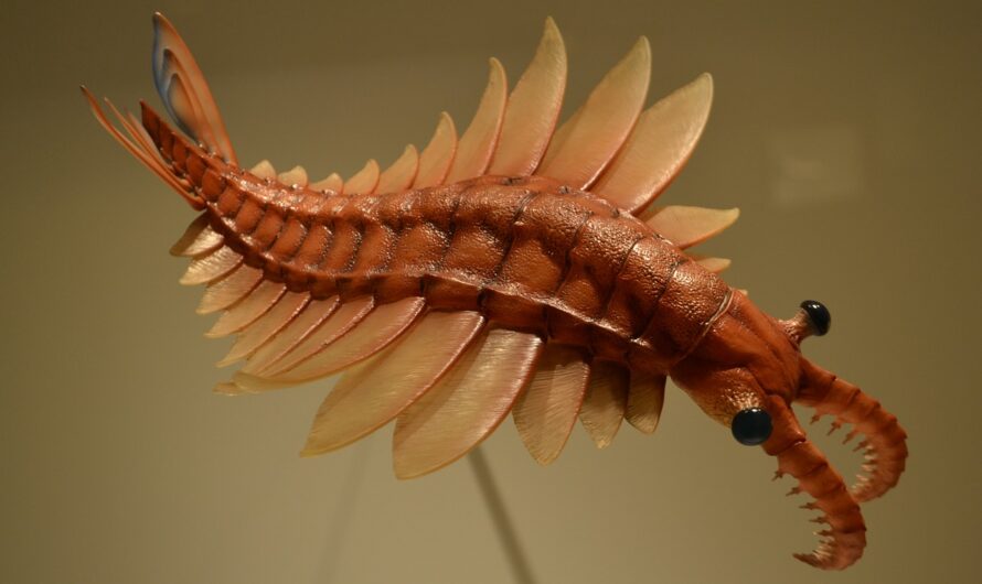 Was Sie bei MWonline noch nie gelesen haben …