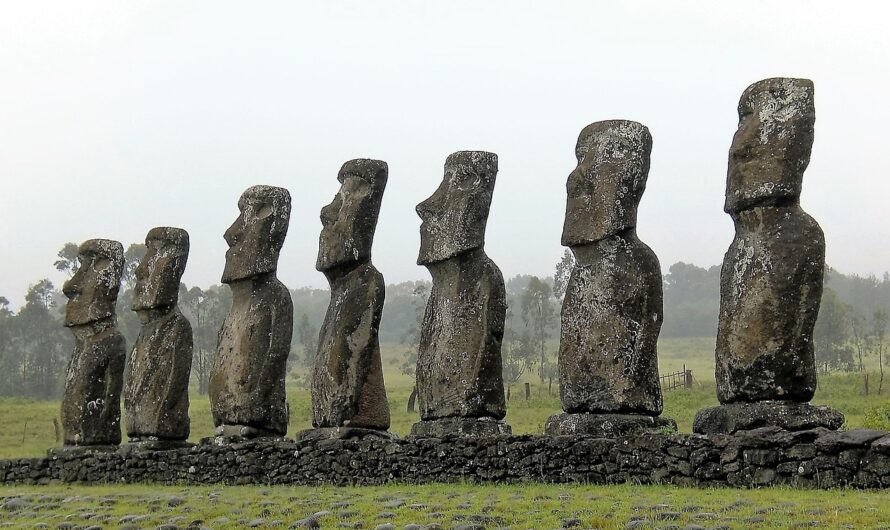 Nachwuchs im Wartestand