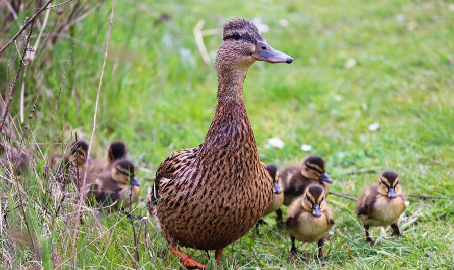 Die Neuen gut integrieren