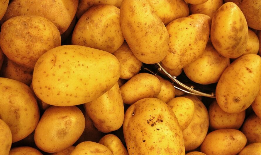 Dem Zufall auf die Sprünge helfen