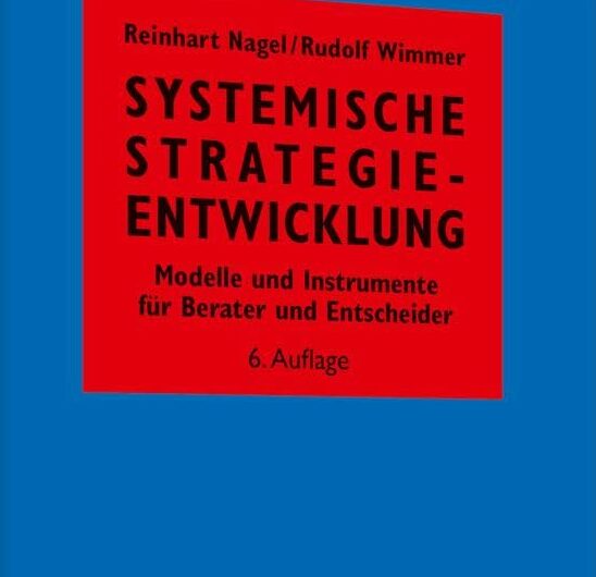 Systemische Strategieentwicklung