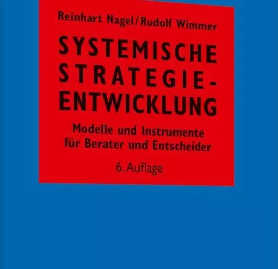 Systemische Strategieentwicklung