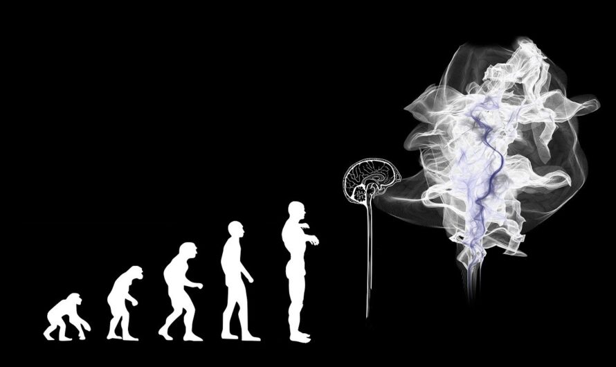 Beschränkt intelligent – KI als Zombie