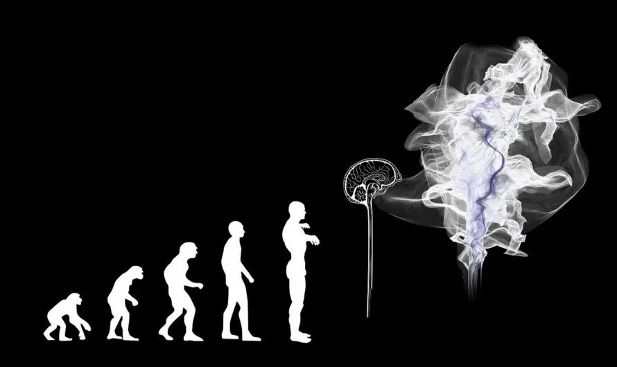 Beschränkt intelligent – KI als Zombie