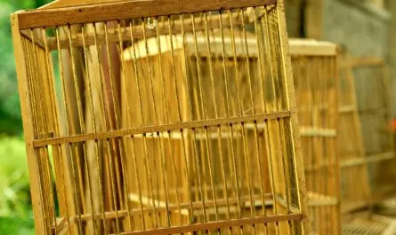 goldener Käfig