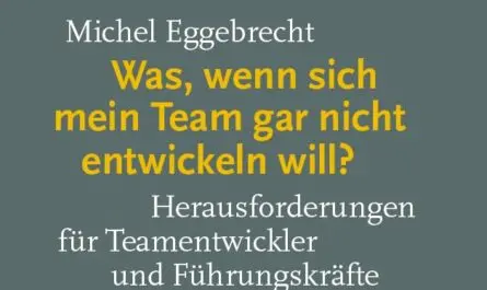 Cover: Was, wenn sich mein Team gar nicht entwickeln will?