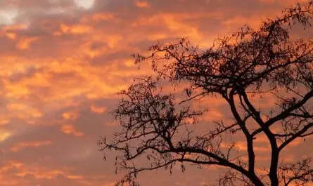 Sonnenuntergang