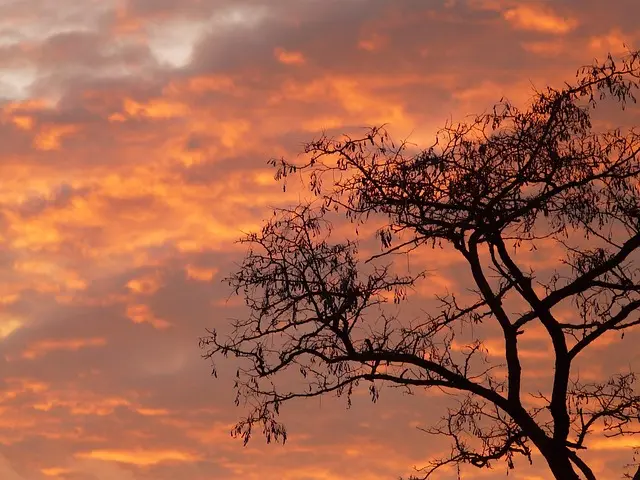 Sonnenuntergang