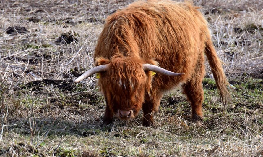 Drohen oder Verhandeln?