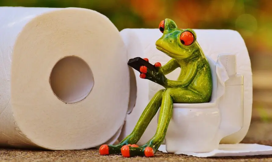 Nicht smarter, sondern dümmer