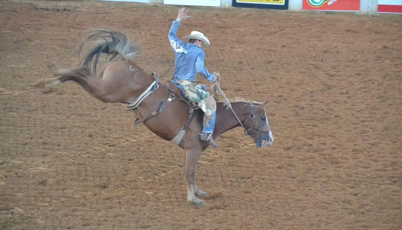 Rodeo